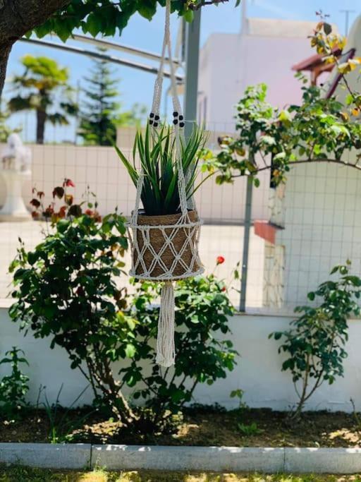 Mom'S Seaside Home Karianí Exterior photo